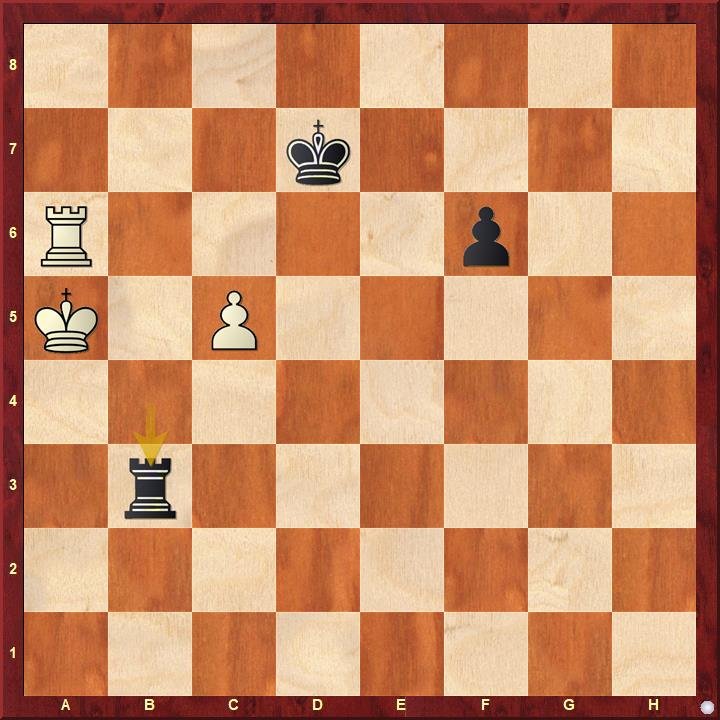 Essential rook endgame technique in chess
